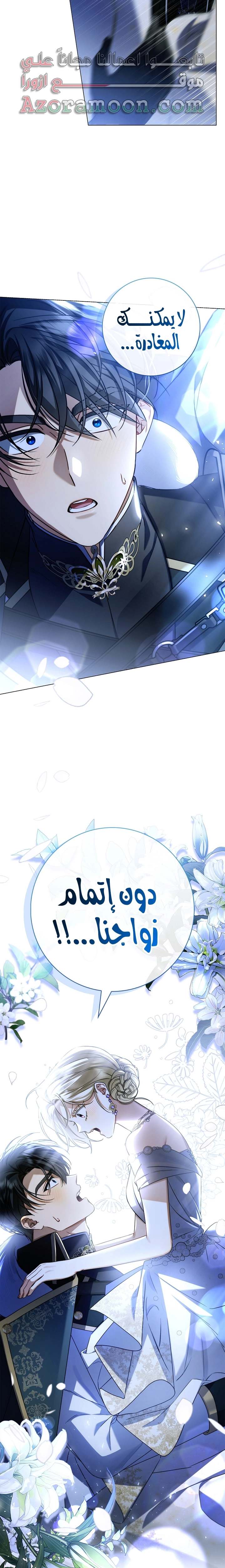 الصفحة 26