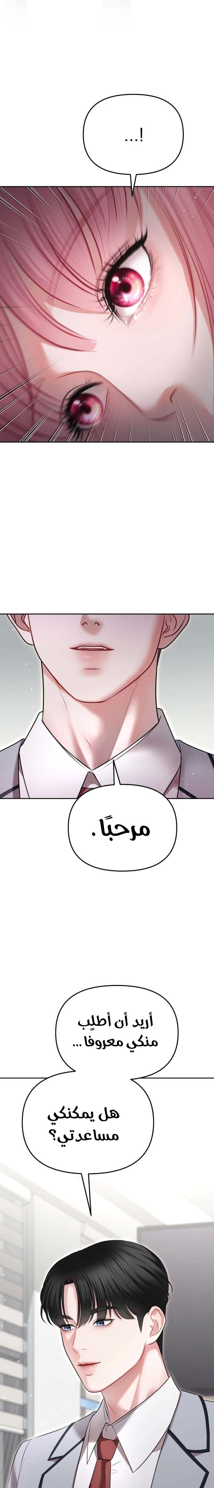 الصفحة 20