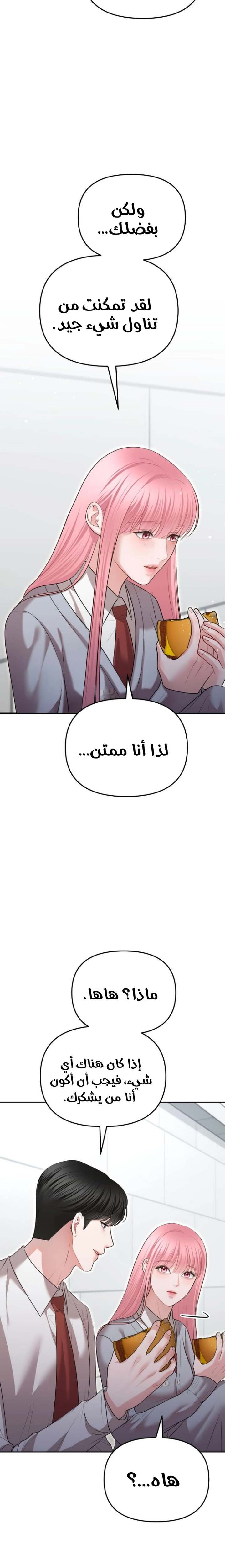 الصفحة 25