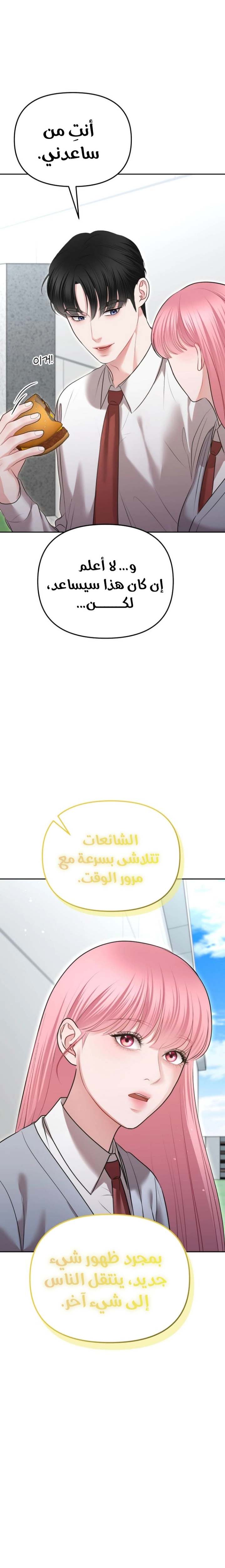 الصفحة 26