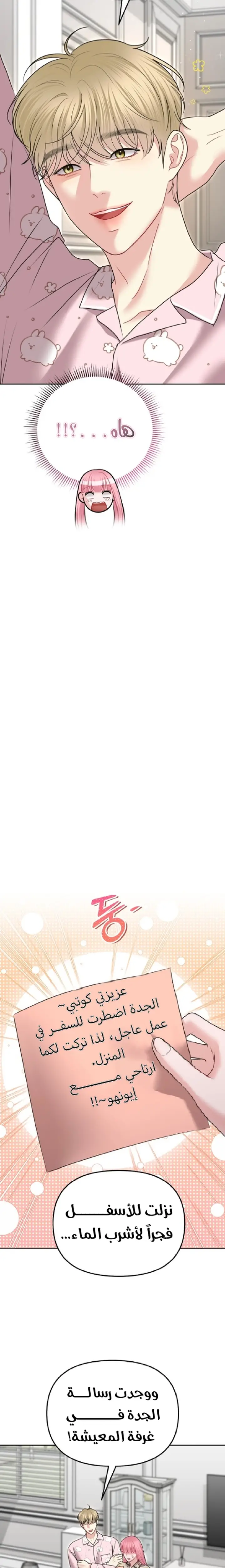 الصفحة 13