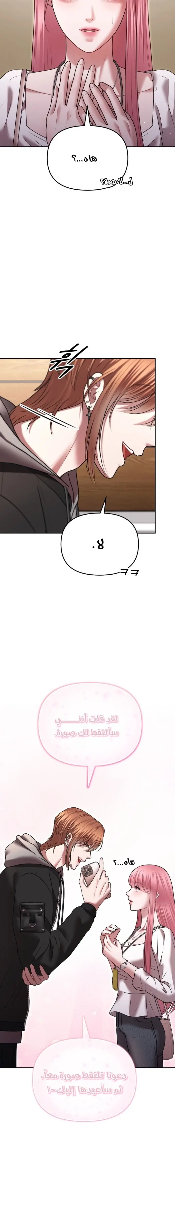 الصفحة 13