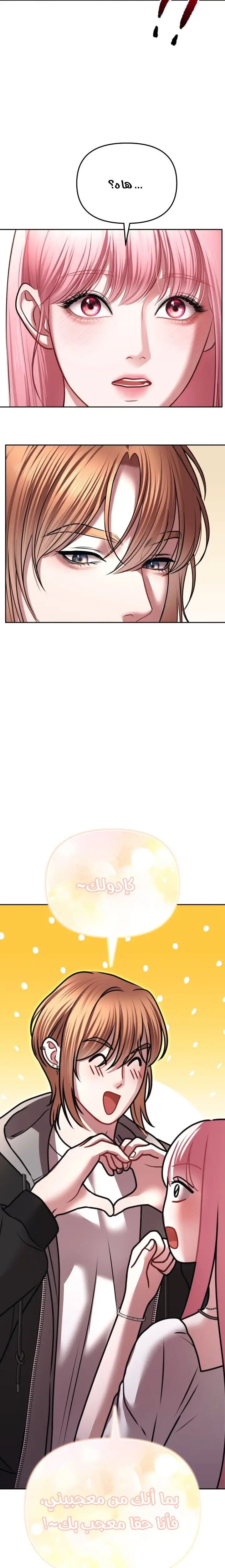 الصفحة 25