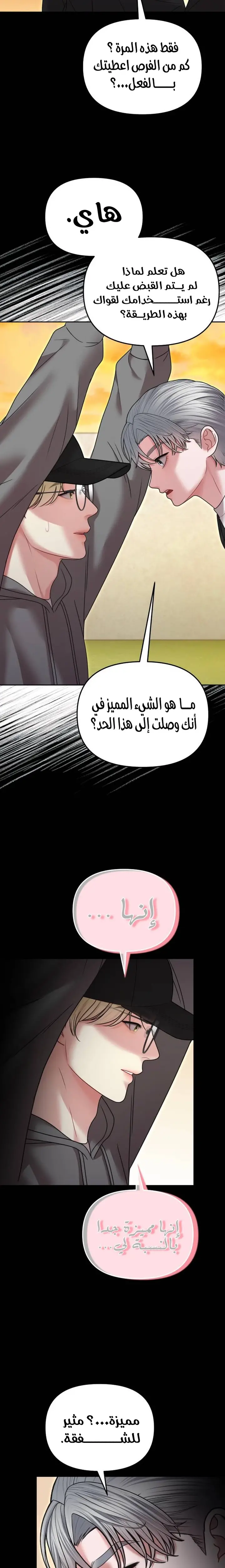 الصفحة 12
