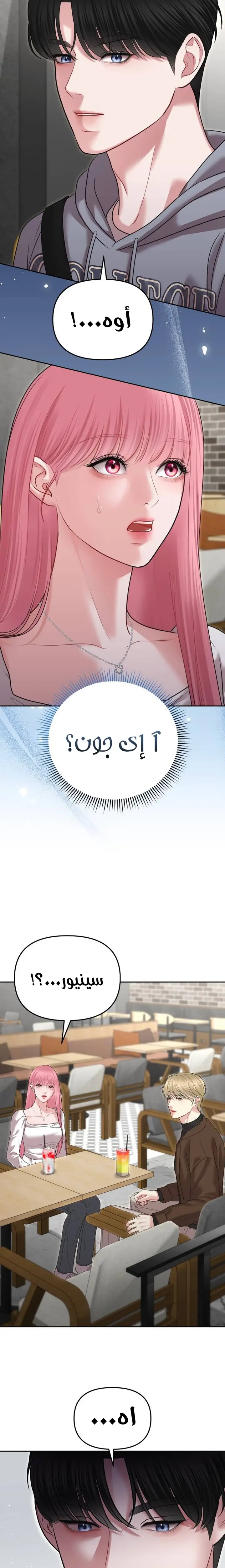 الصفحة 25