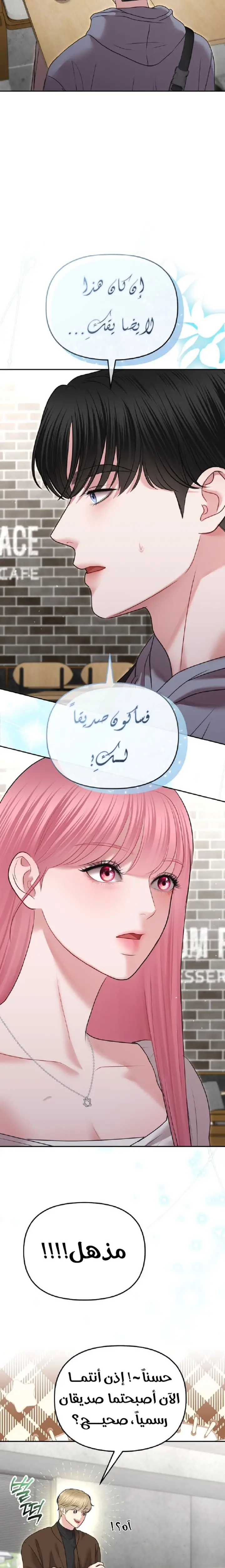 الصفحة 12