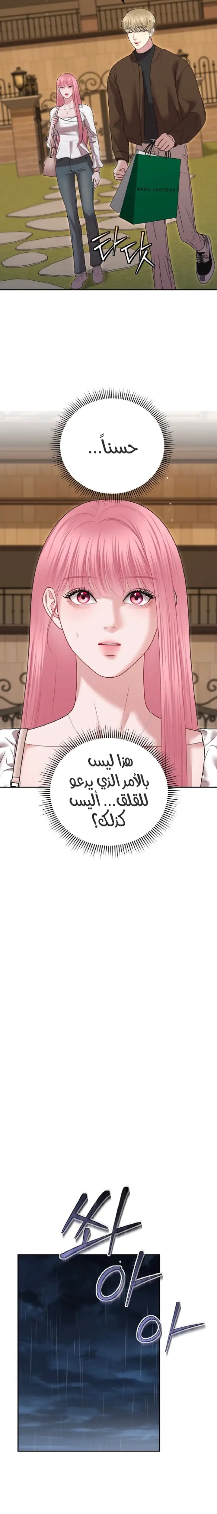 الصفحة 26