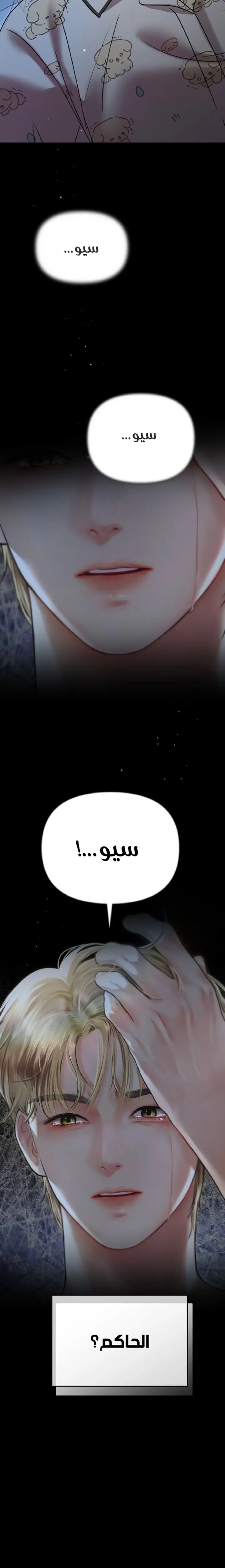 الصفحة 28