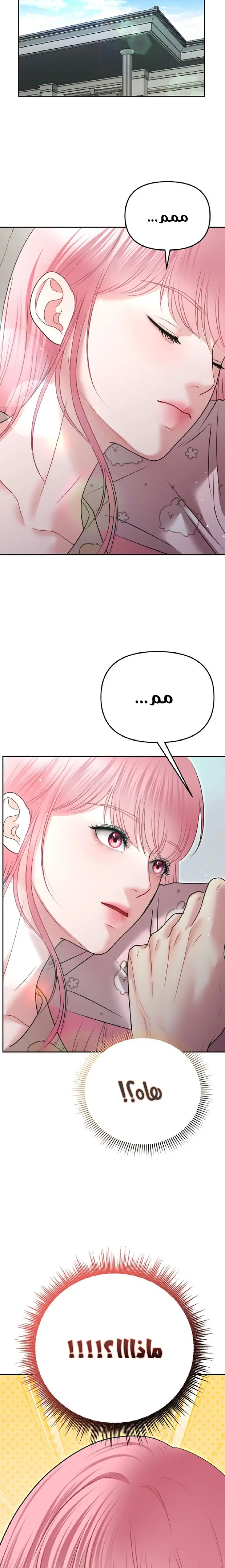الصفحة 31