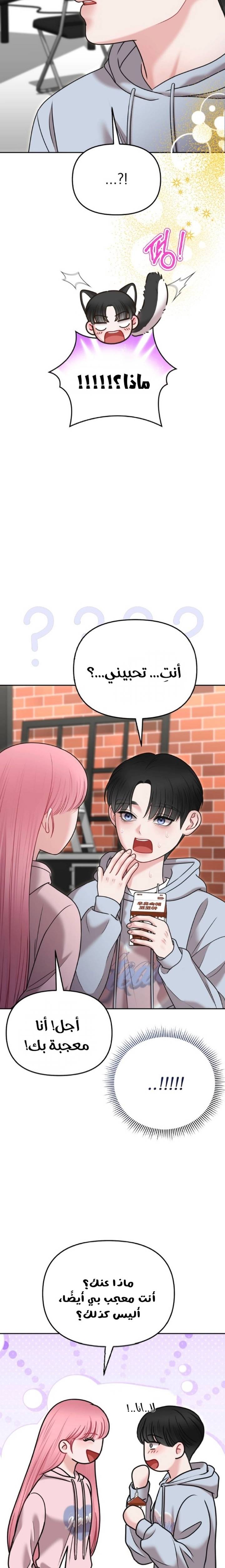 الصفحة 22