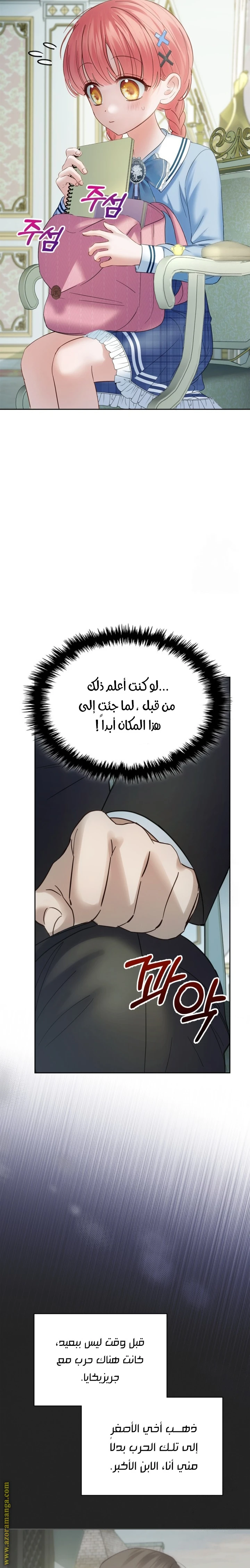 الصفحة 26
