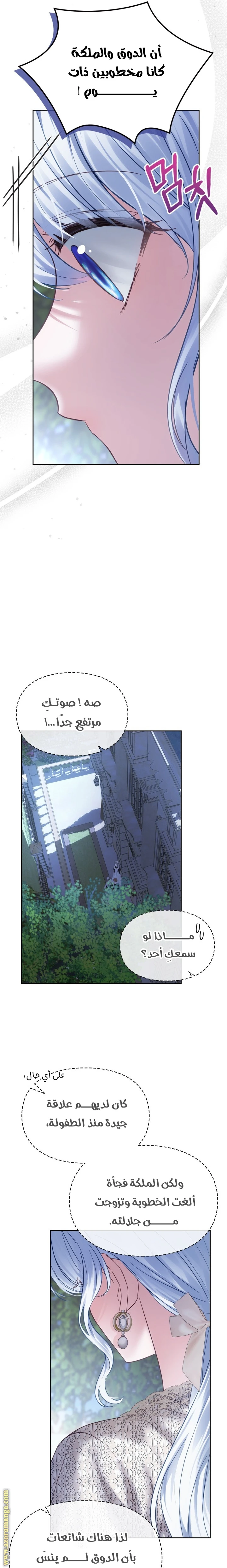 الصفحة 27