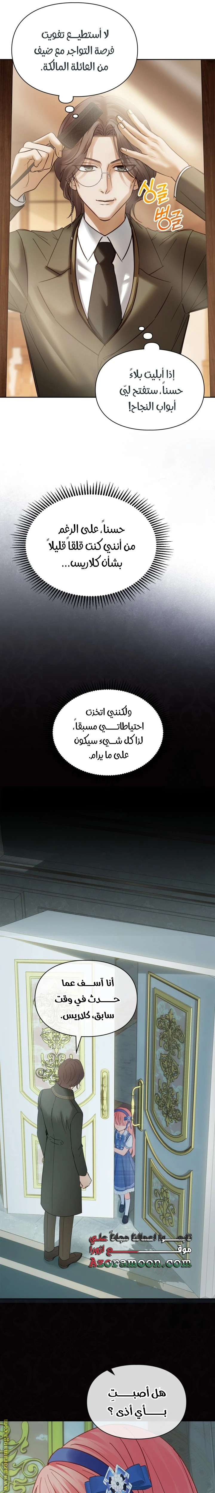 الصفحة 17