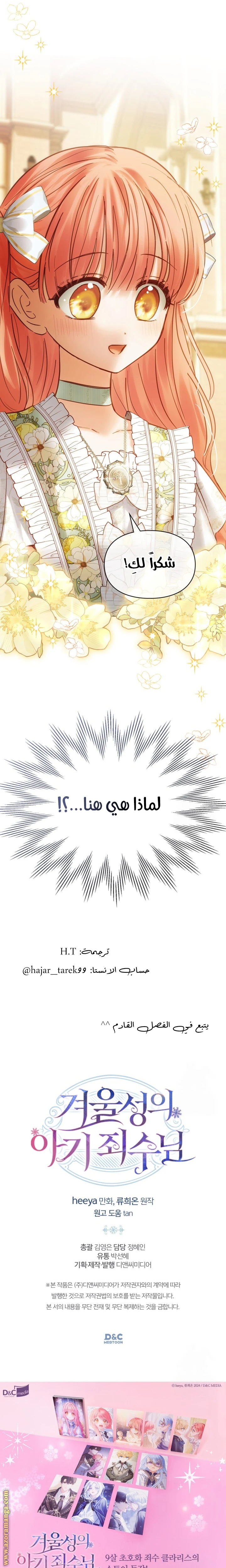 الصفحة 26
