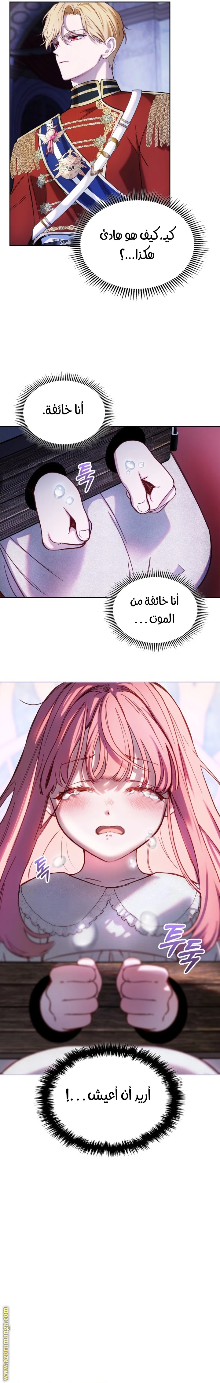 الصفحة 15