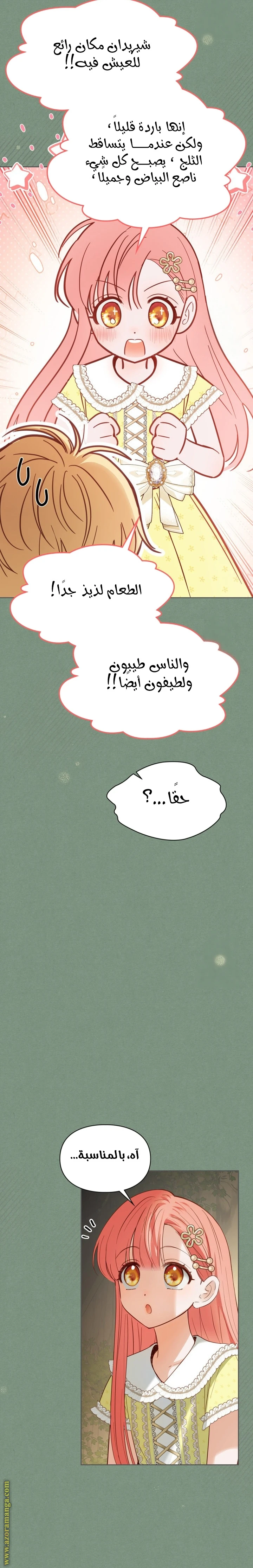 الصفحة 11