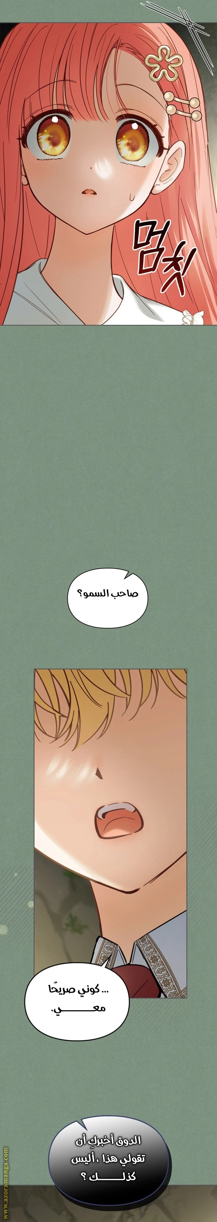 الصفحة 16
