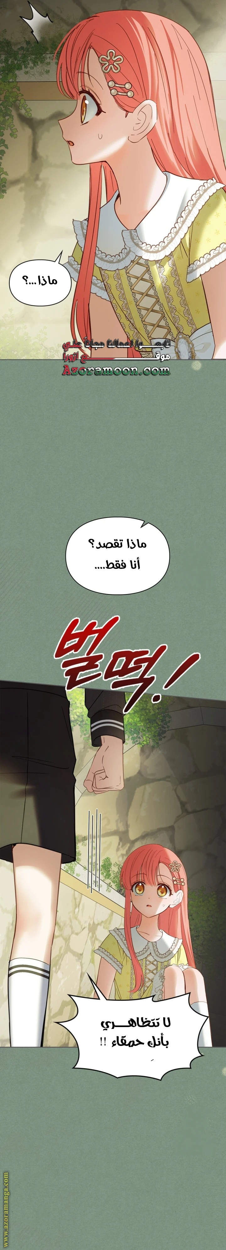 الصفحة 17