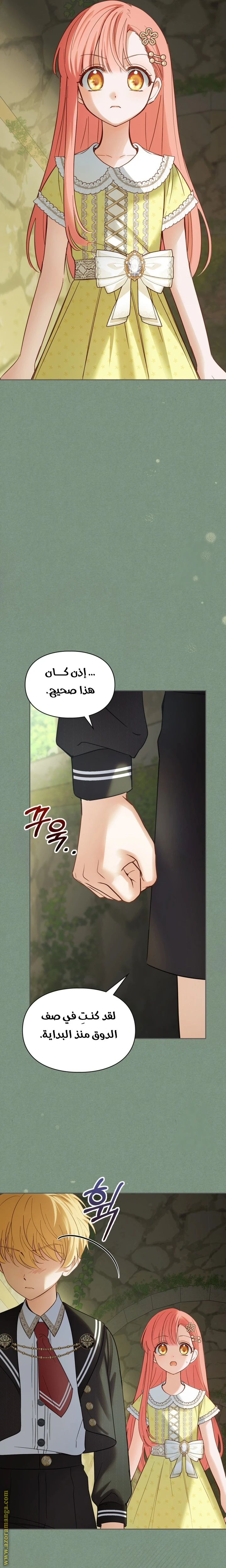 الصفحة 20