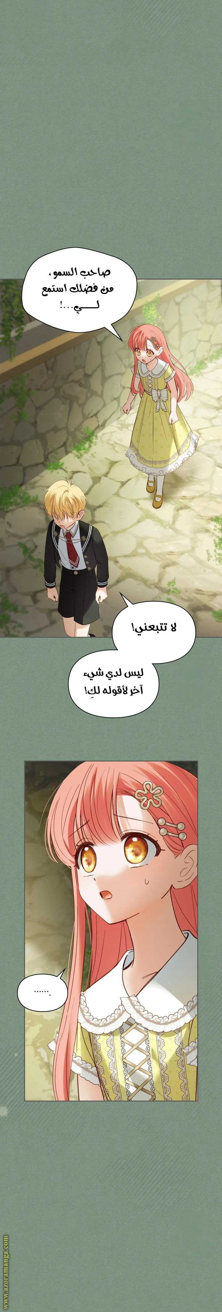 الصفحة 21