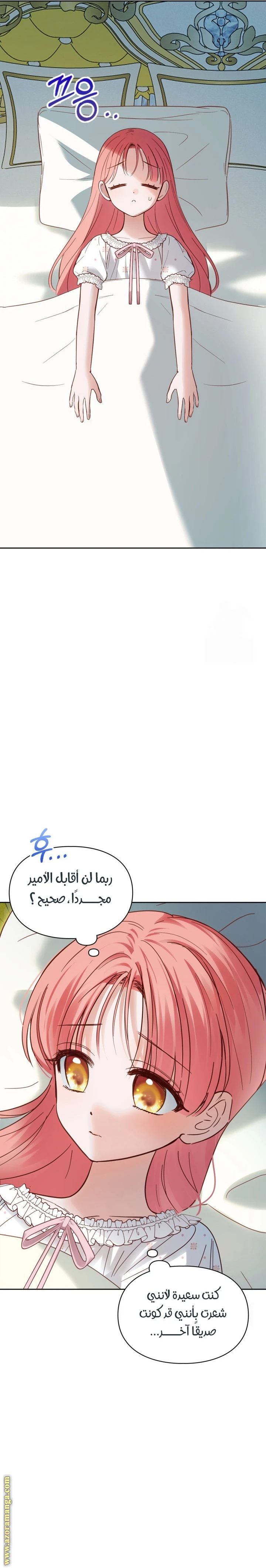 الصفحة 26