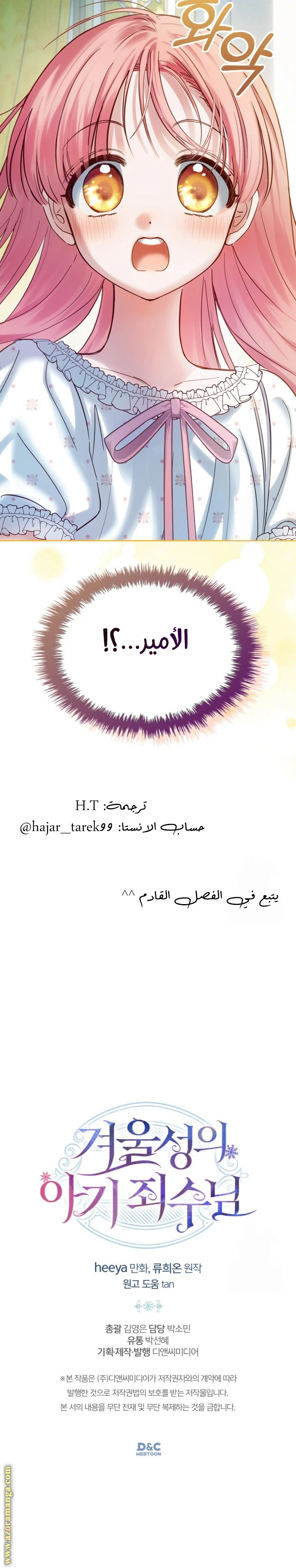 الصفحة 29