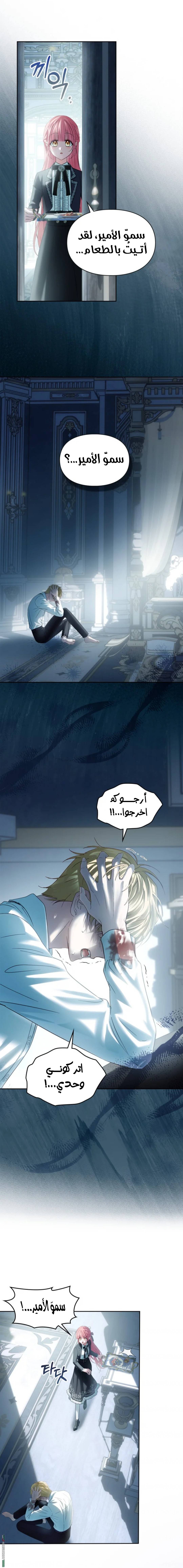 الصفحة 12