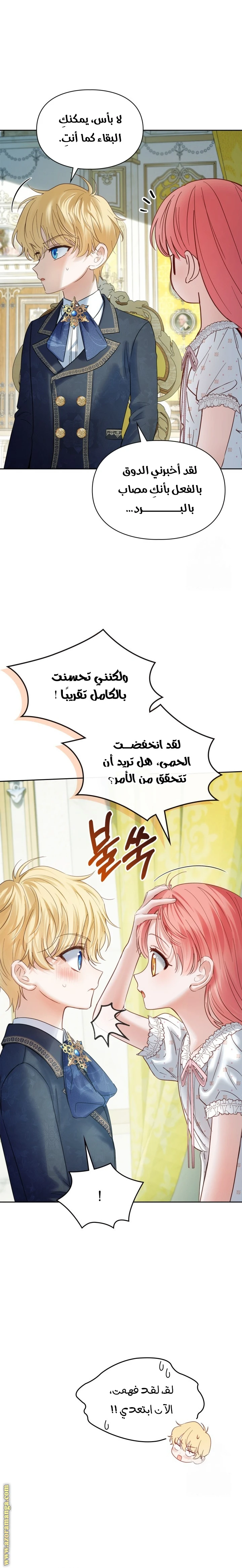 الصفحة 3