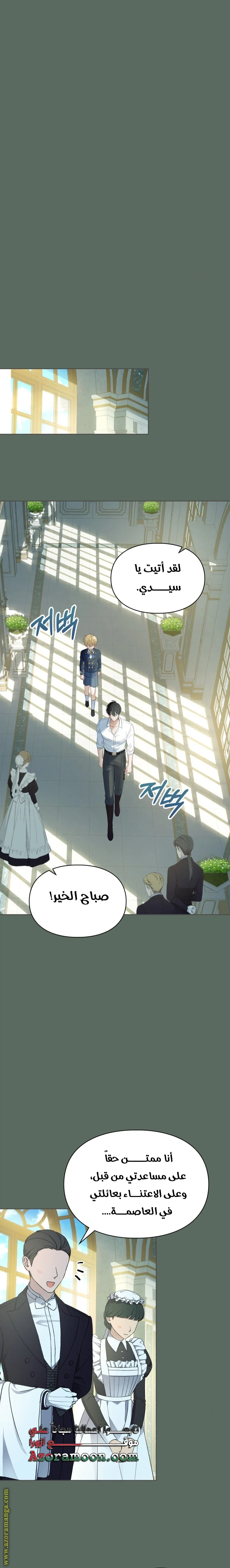 الصفحة 17