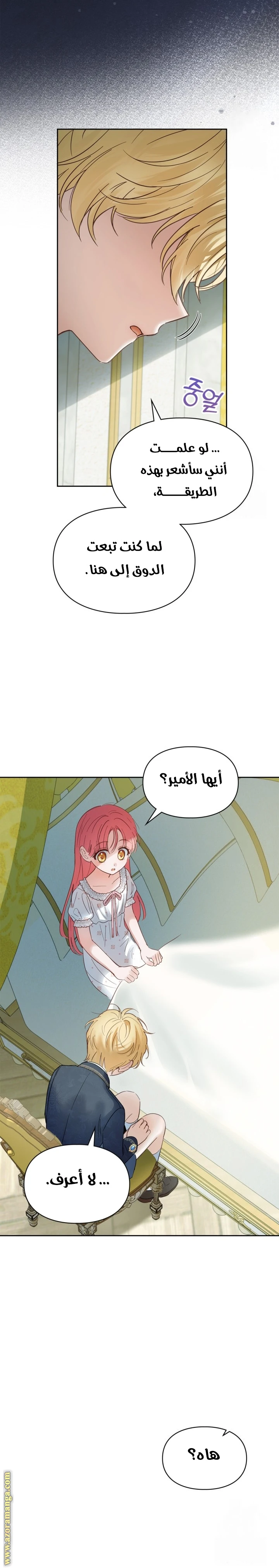 الصفحة 24