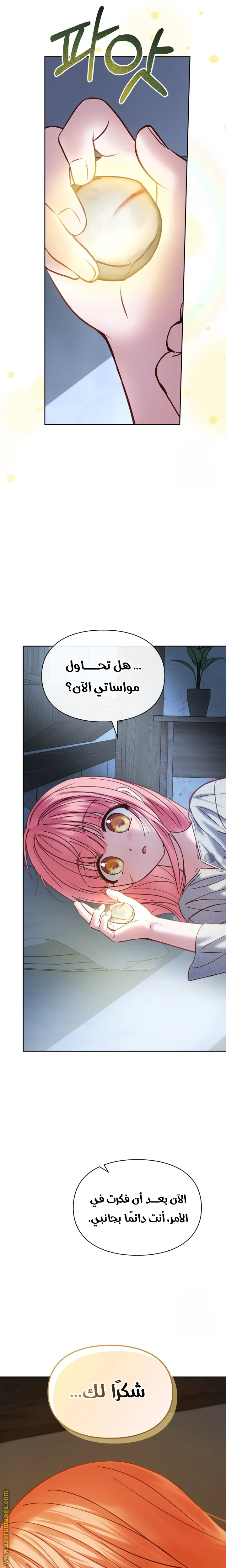 الصفحة 25