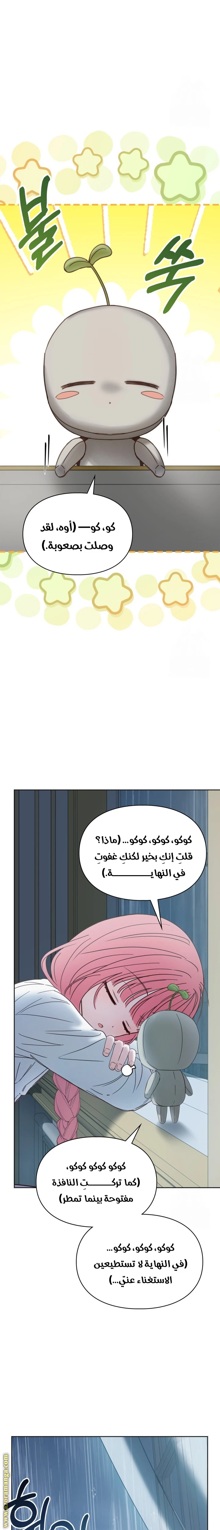 الصفحة 11