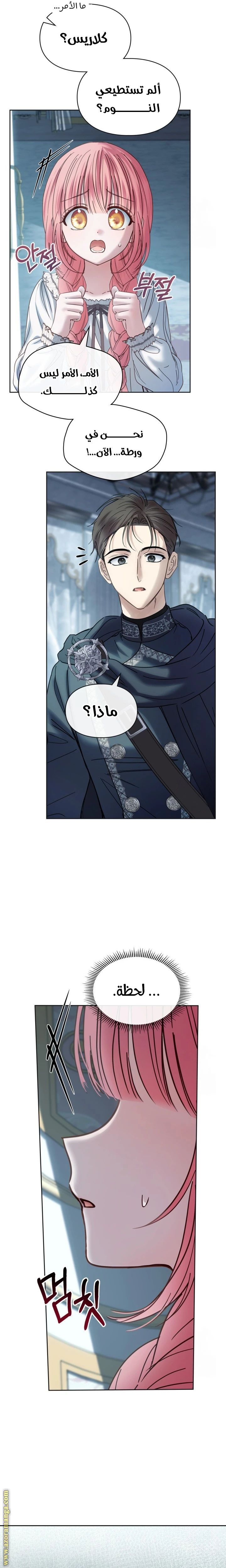 الصفحة 17