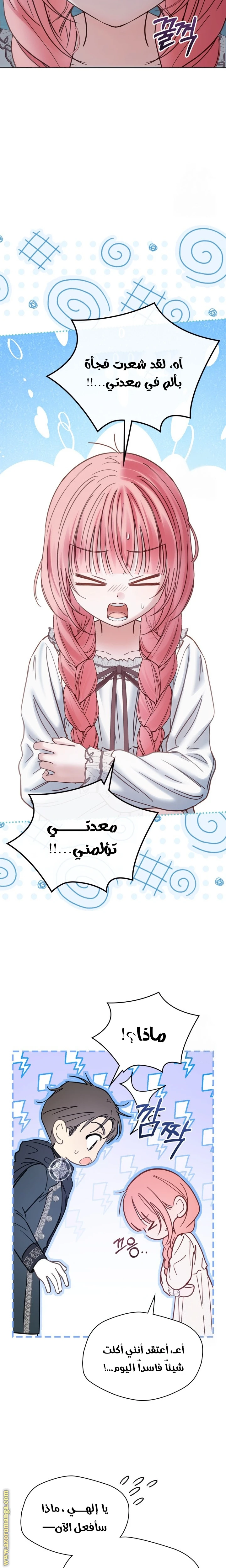 الصفحة 19