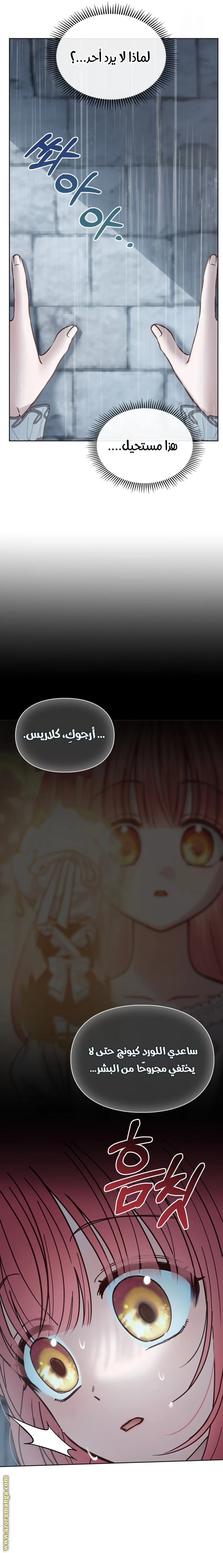 الصفحة 25