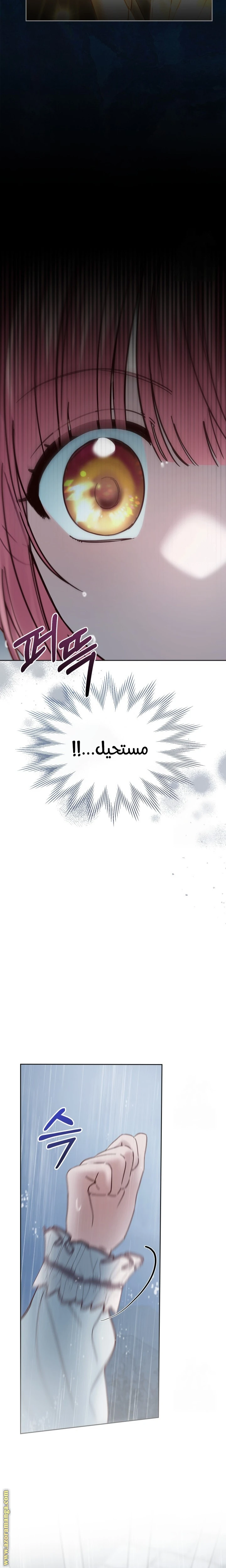 الصفحة 29