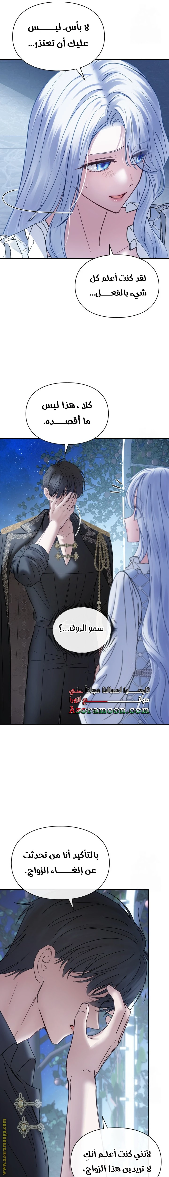 الصفحة 17