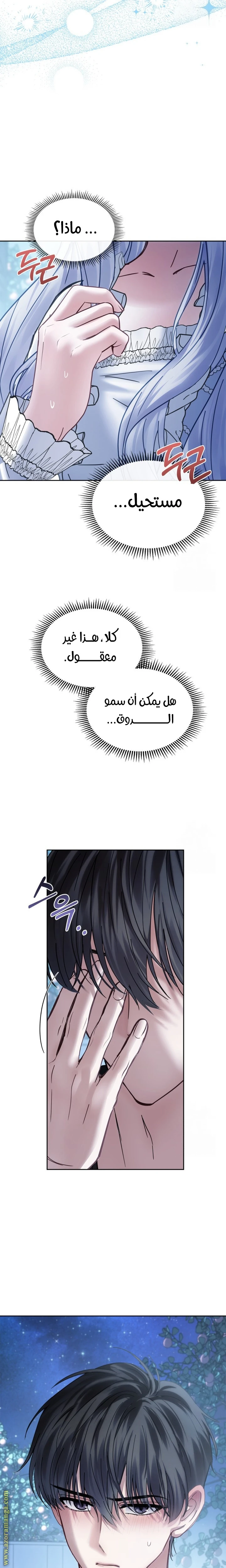 الصفحة 19