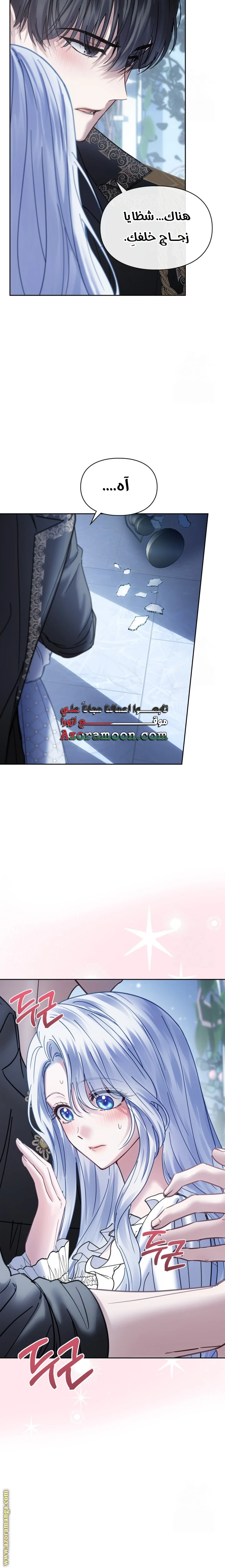الصفحة 22