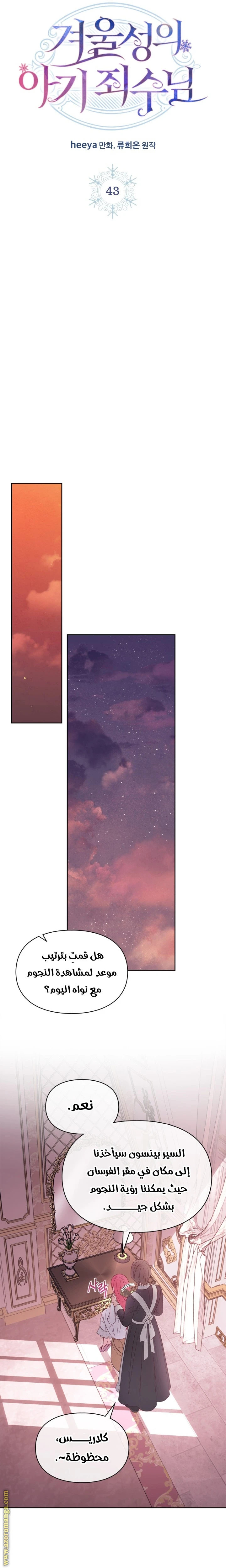 الصفحة 17