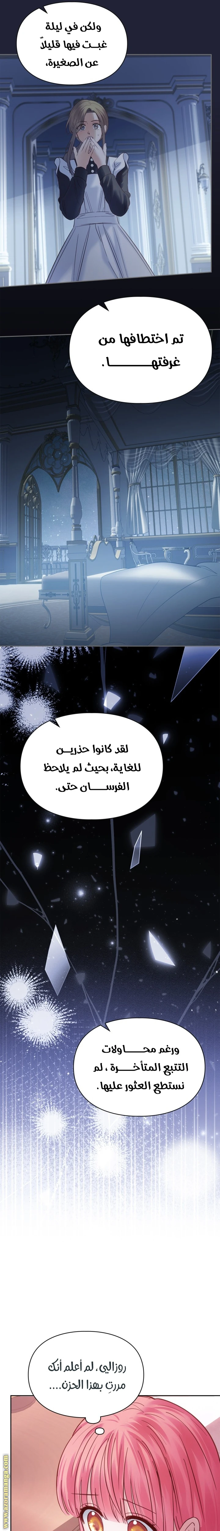 الصفحة 25