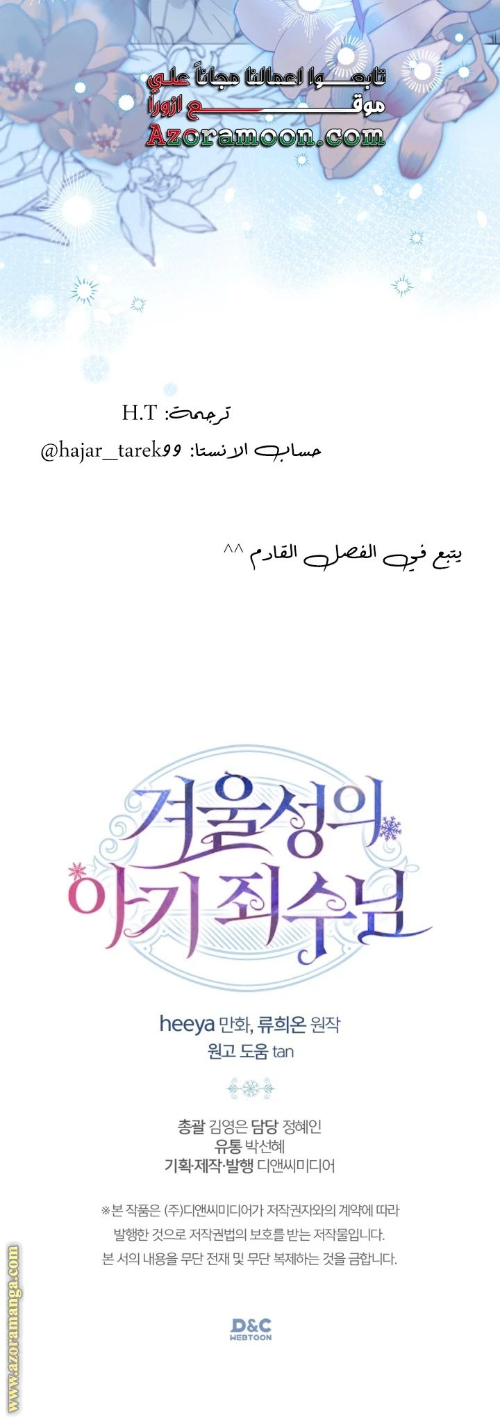 الصفحة 29