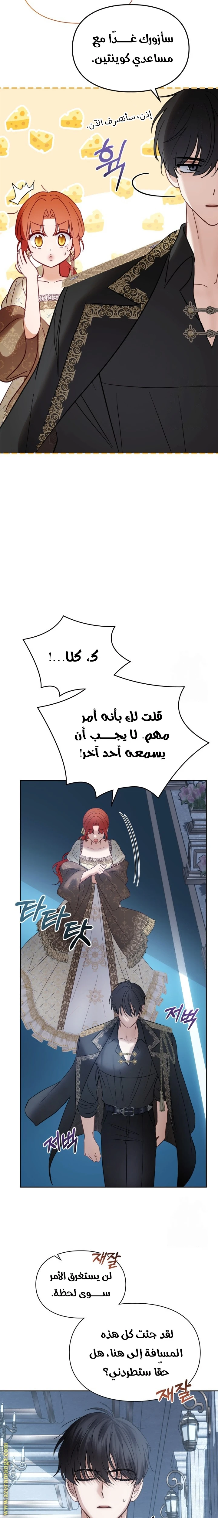 الصفحة 12