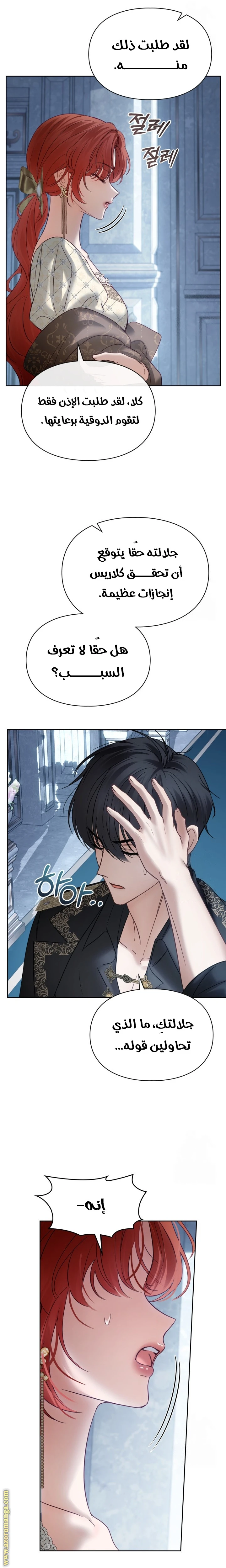 الصفحة 17