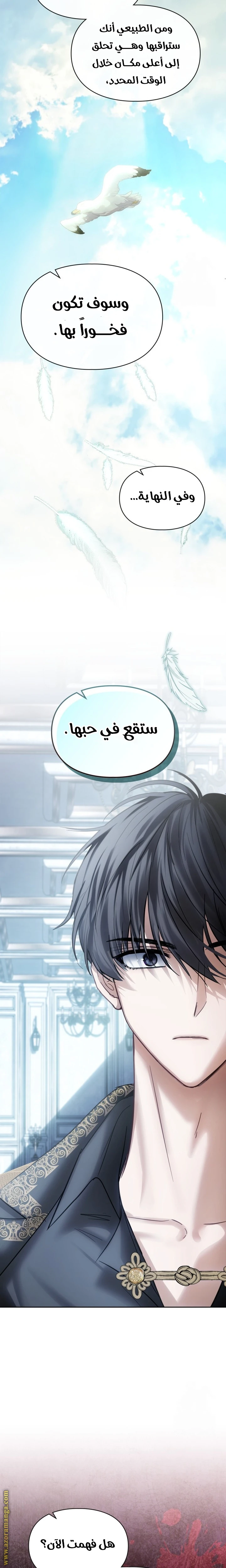 الصفحة 19
