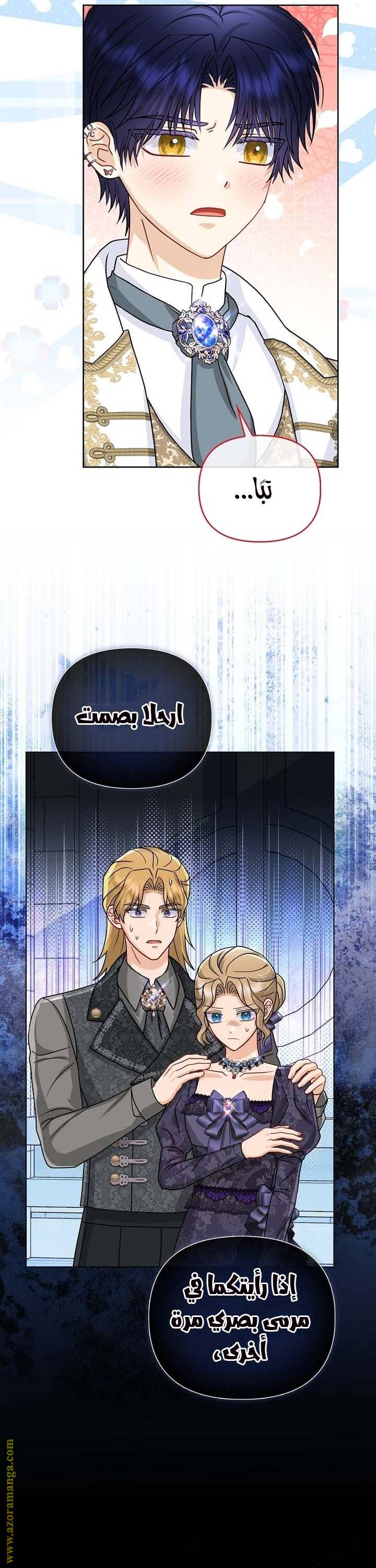 الصفحة 17