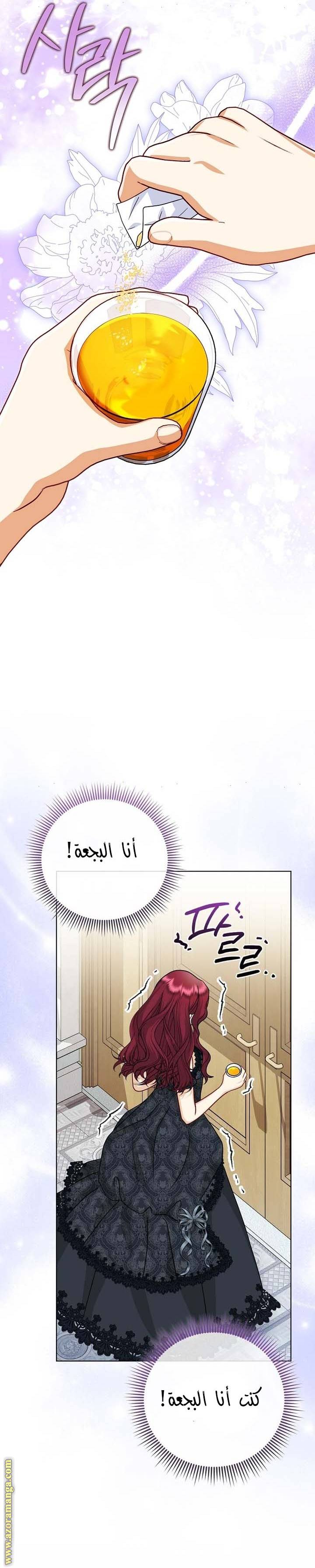 الصفحة 19
