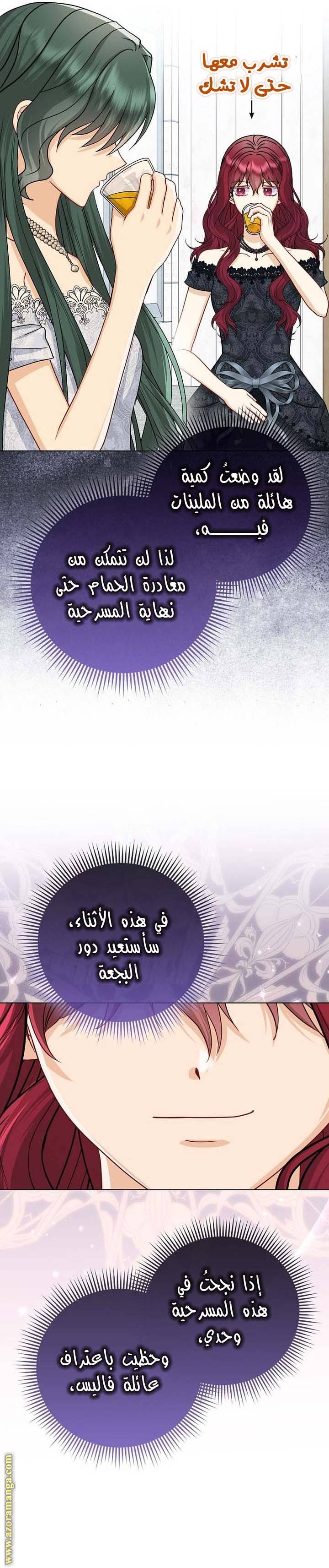 الصفحة 26