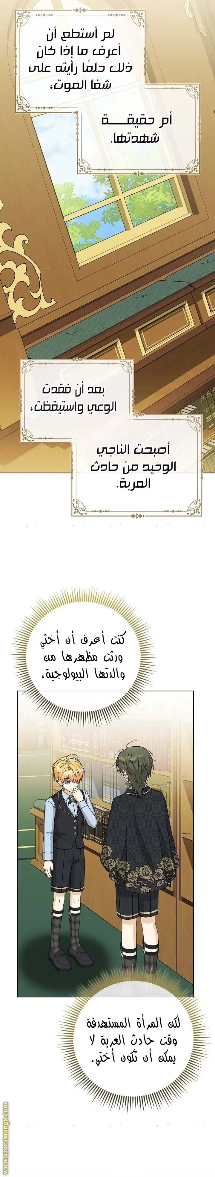 الصفحة 17
