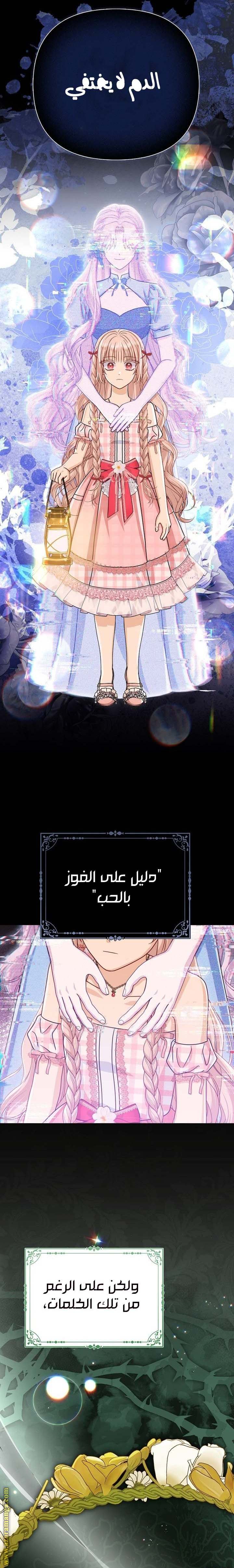 الصفحة 17
